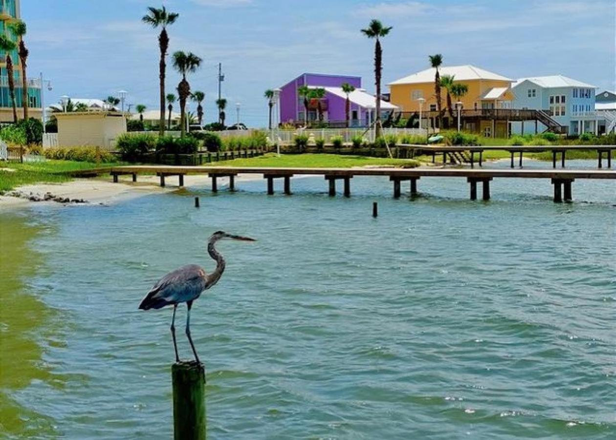 Summer House West B103 Gulf Shores Exterior photo